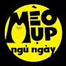 Mèo Mụp Ngủ Ngày