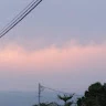 Lan Trinh